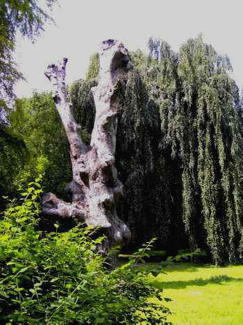 Von Reden-Park in Gehrden